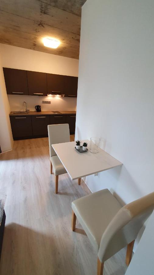 Exclusive Penzion Viva Residence Mladá Boleslav エクステリア 写真