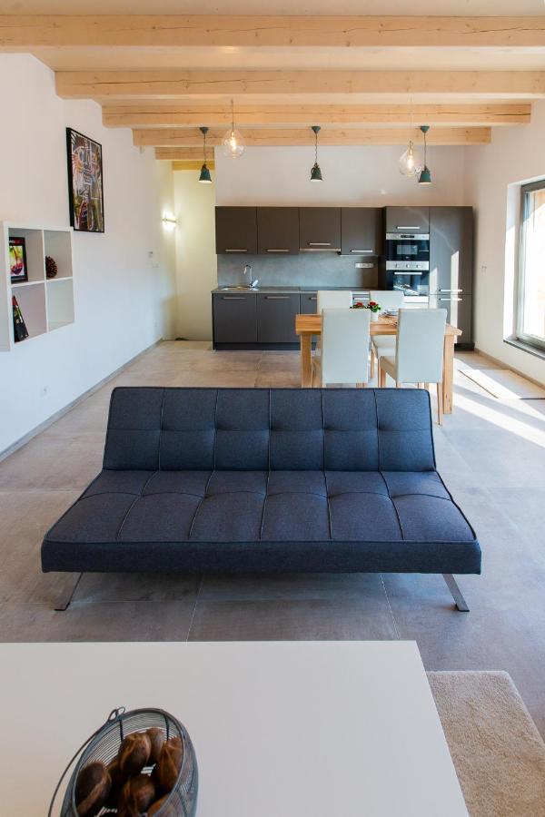 Exclusive Penzion Viva Residence Mladá Boleslav エクステリア 写真